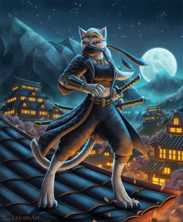 Midnight the Tabaxi Rogue